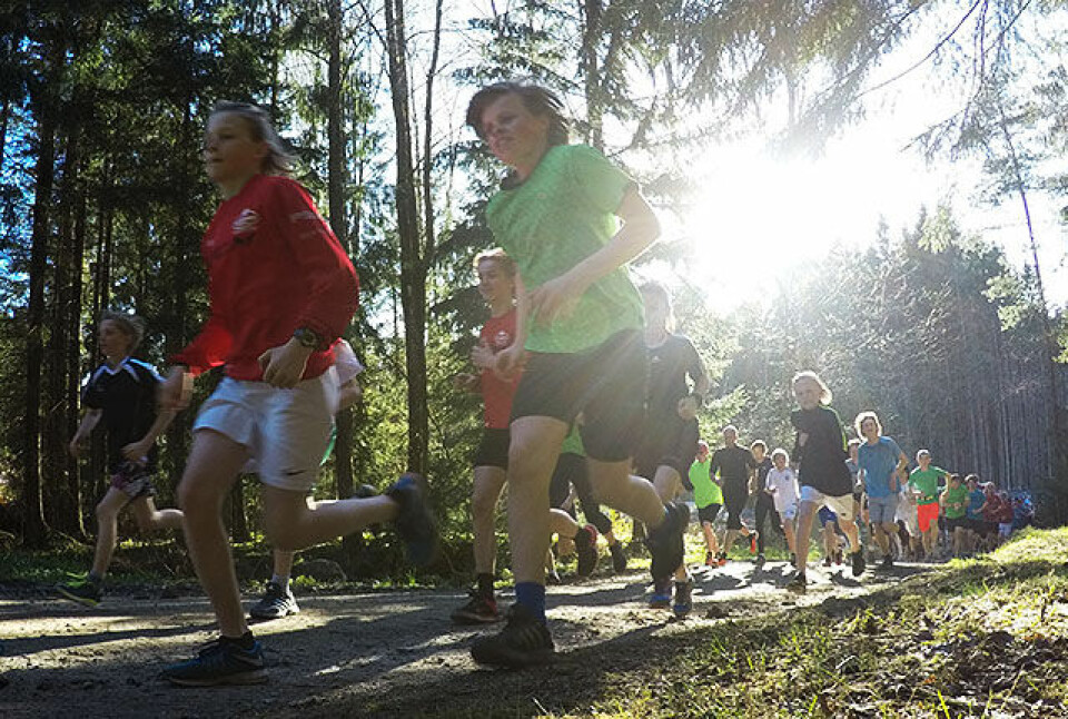 Det var 113 som deltok i det 6. løpet i Borredalen Rundt 2017. (Alle foto: Bjørn Johannessen) Det var 113 som deltok i det 6. løpet i Borredalen Rundt 2017. (Alle foto: Bjørn Johannessen)
