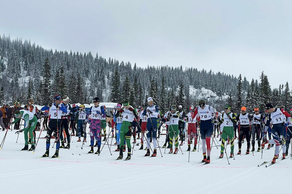 80 løpere stilte til start på hoveddistansen på 28 kilometer. (Foto: arrangøren) 80 løpere stilte til start på hoveddistansen på 28 kilometer. (Foto: arrangøren)