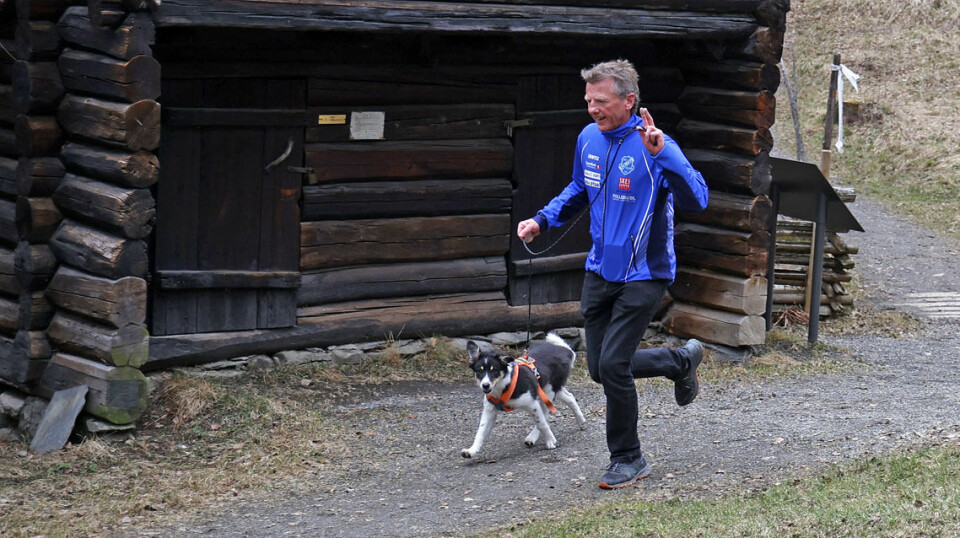 Maihaugenløpet – interessen for løping blomstrer på Lillehammer 06 0_I6A8175.jpg