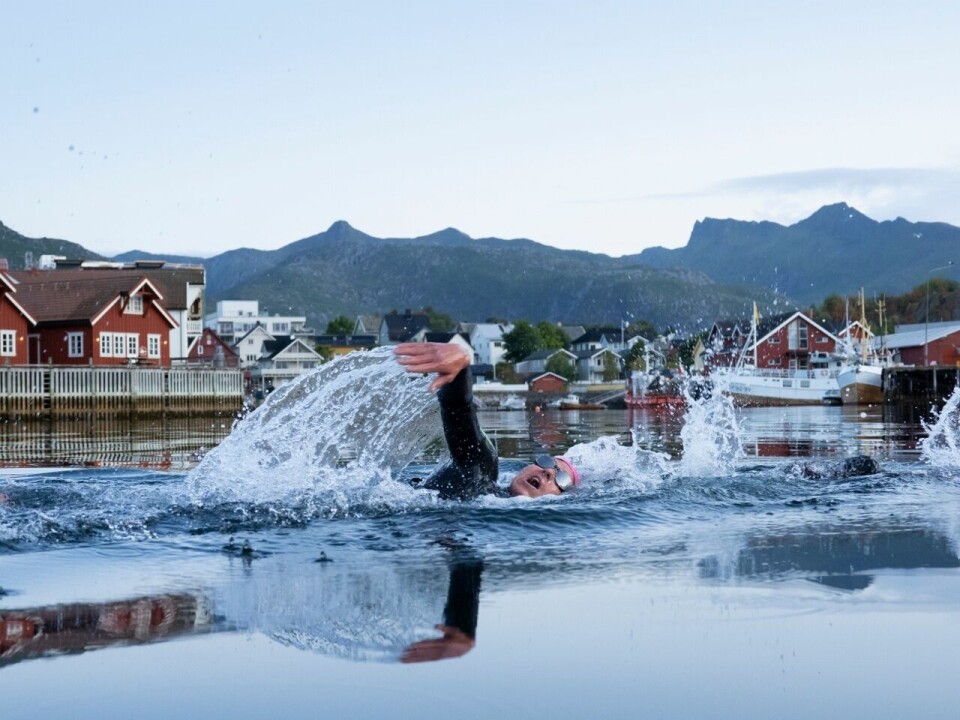 Allan Hovda og Sara Johnsen vant NM triatlon fulldistanse i Lofoten Extreme_svømming (1280x960).jpg