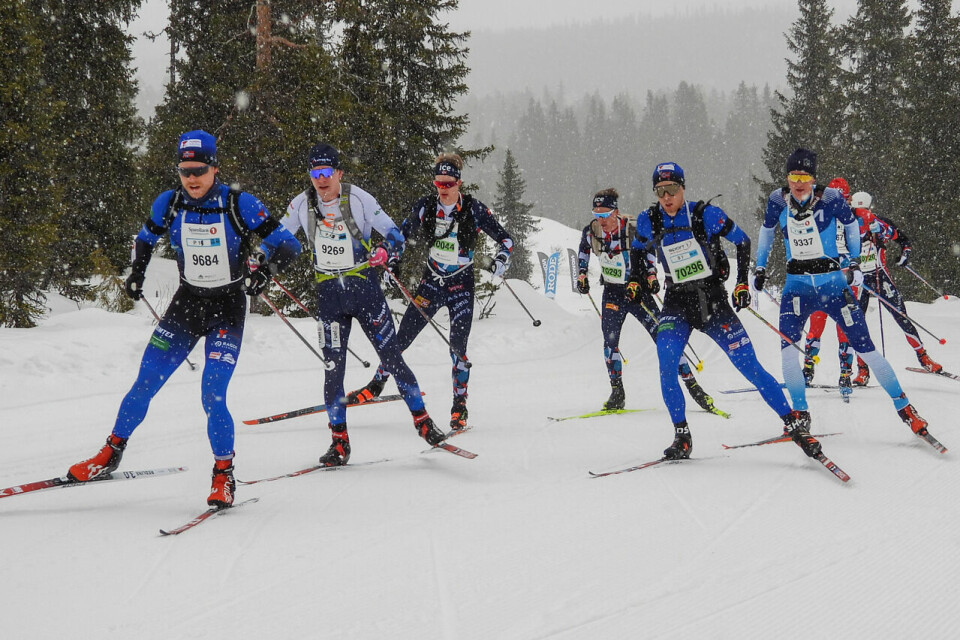 Her ser vi tetgruppen som passerer Kvarstadsætra: Petter Austberg Bjørn, Kasper Herland, Filip Fjeld Andersen, Jørgen Solhaug Sæter (70296) og Henrik Husdal. (Foto: Stein Arne Negård) Kasper Herland og tetgruppen