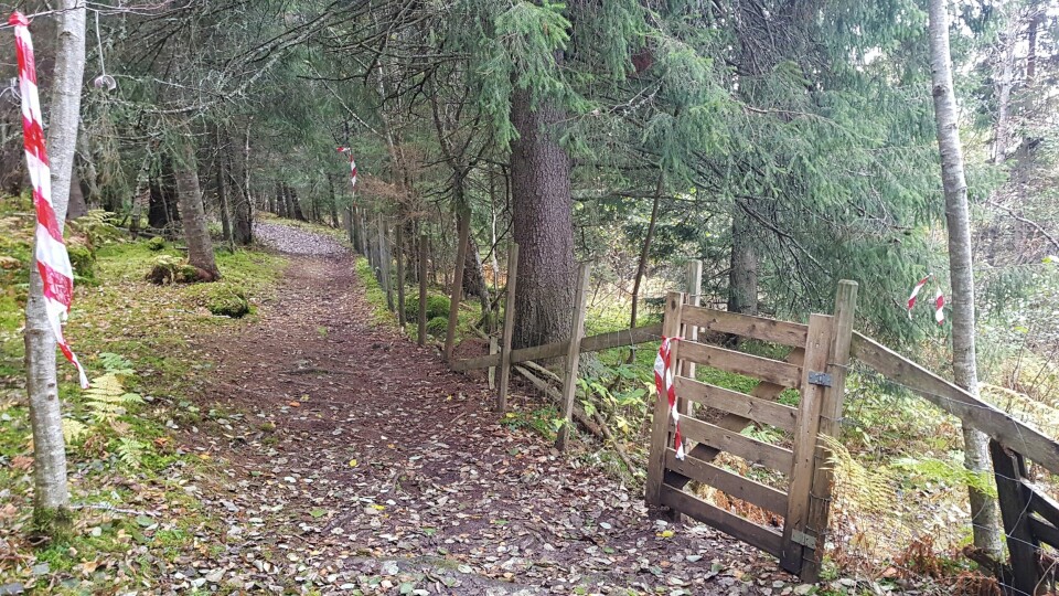 Jon Asphjell vant Kruke’s Backyard Ultra - 14 runder i tøff løype 20191018_144021.jpg