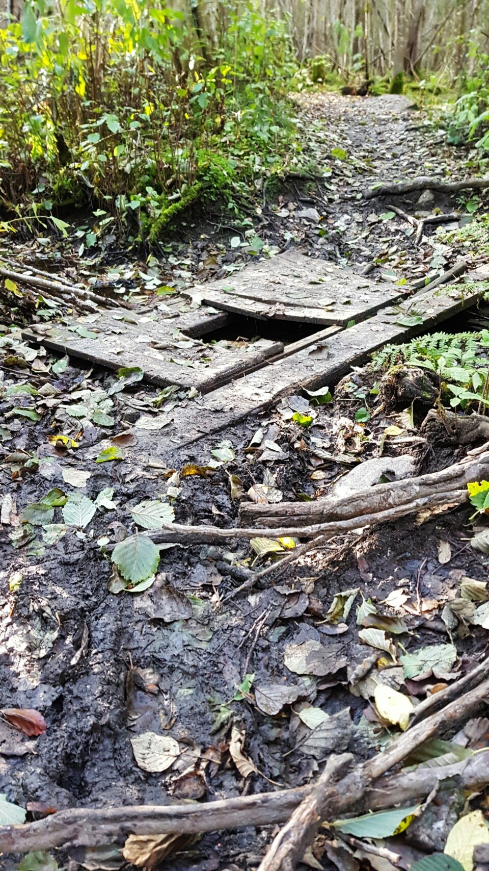 Jon Asphjell vant Kruke’s Backyard Ultra - 14 runder i tøff løype 20191005_122045.jpg