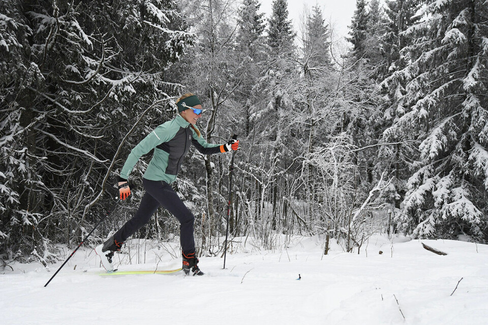 Naturopplevelse er en viktig grunn til at Sylvia trener, enten hun gjør det på randoneeski, langrennsski eller med løpesko på beina. (Foto: Bjørn Johannessen) Naturopplevelse er en viktig grunn til at Sylvia trener, enten hun gjør det på randoneeski, langrennsski eller med løpesko på beina. (Foto: Bjørn Johannessen)