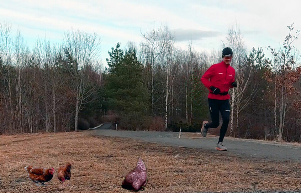 Påskekonkurranse 5 km idealtid - resultat Paaskekonkuranse 2021-01b.jpg