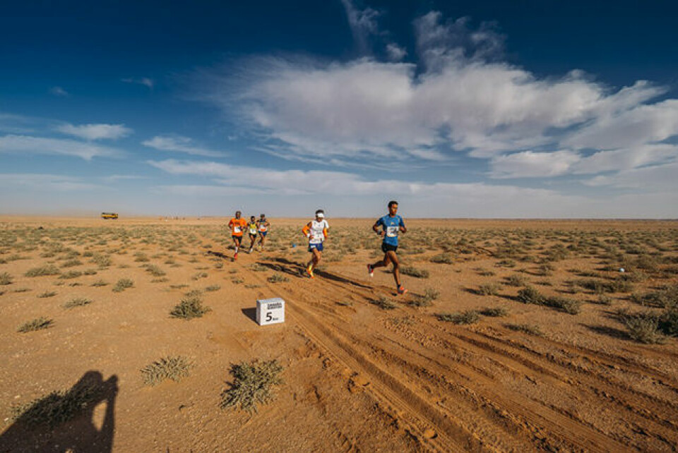 Solveig Ramstad-Ekeberg løp Sahara Marathon 28. februar lederfelt-5km_ph_33183833891_7427fb52c3_k-1024x683.jpg
