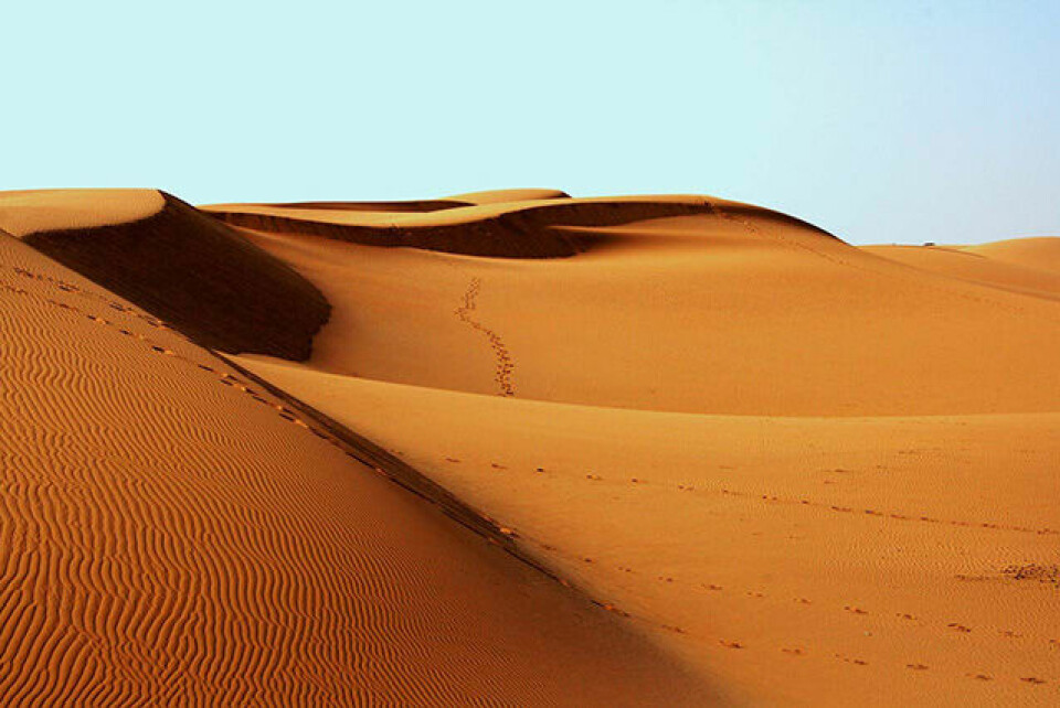 Solveig Ramstad-Ekeberg løp Sahara Marathon 28. februar sanddyner_ph_Sahara-jpg.jpg