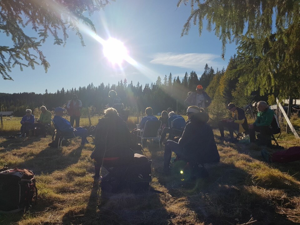Trivelig kveld da ukas bedrifts-o-løp gikk fra Steinsvollsetra i Snertingdal Trivelig samlingsplass i kveldssol.jpg