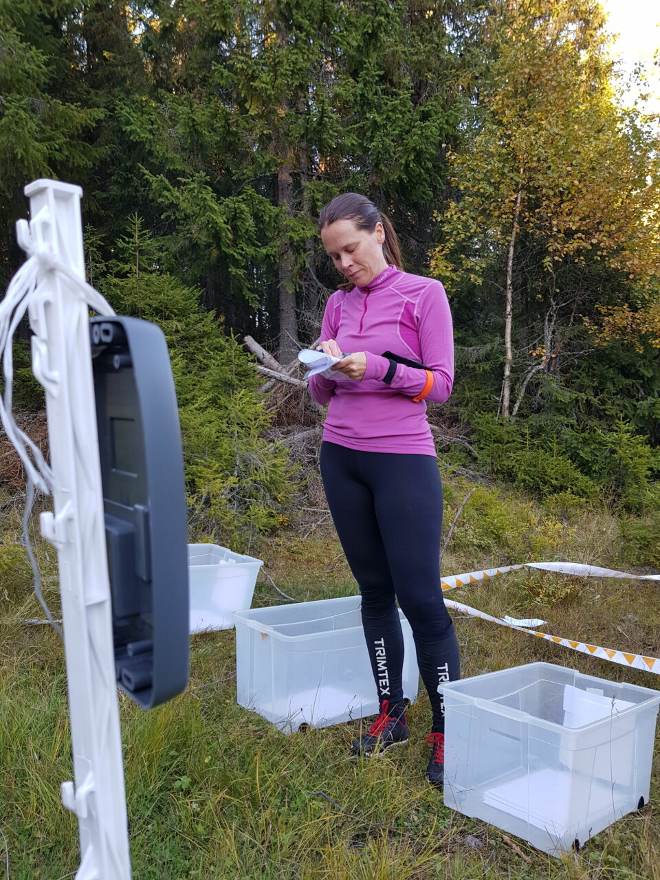 Trivelig kveld da ukas bedrifts-o-løp gikk fra Steinsvollsetra i Snertingdal Mari Norstad Opsahl dypt konsentret f¢r start.jpg