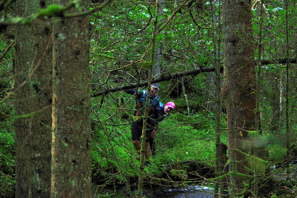 9 deltakere utfordret seg selv under Østfold Ultra Trail ostfold-ultra-trail-line-tommy.jpg