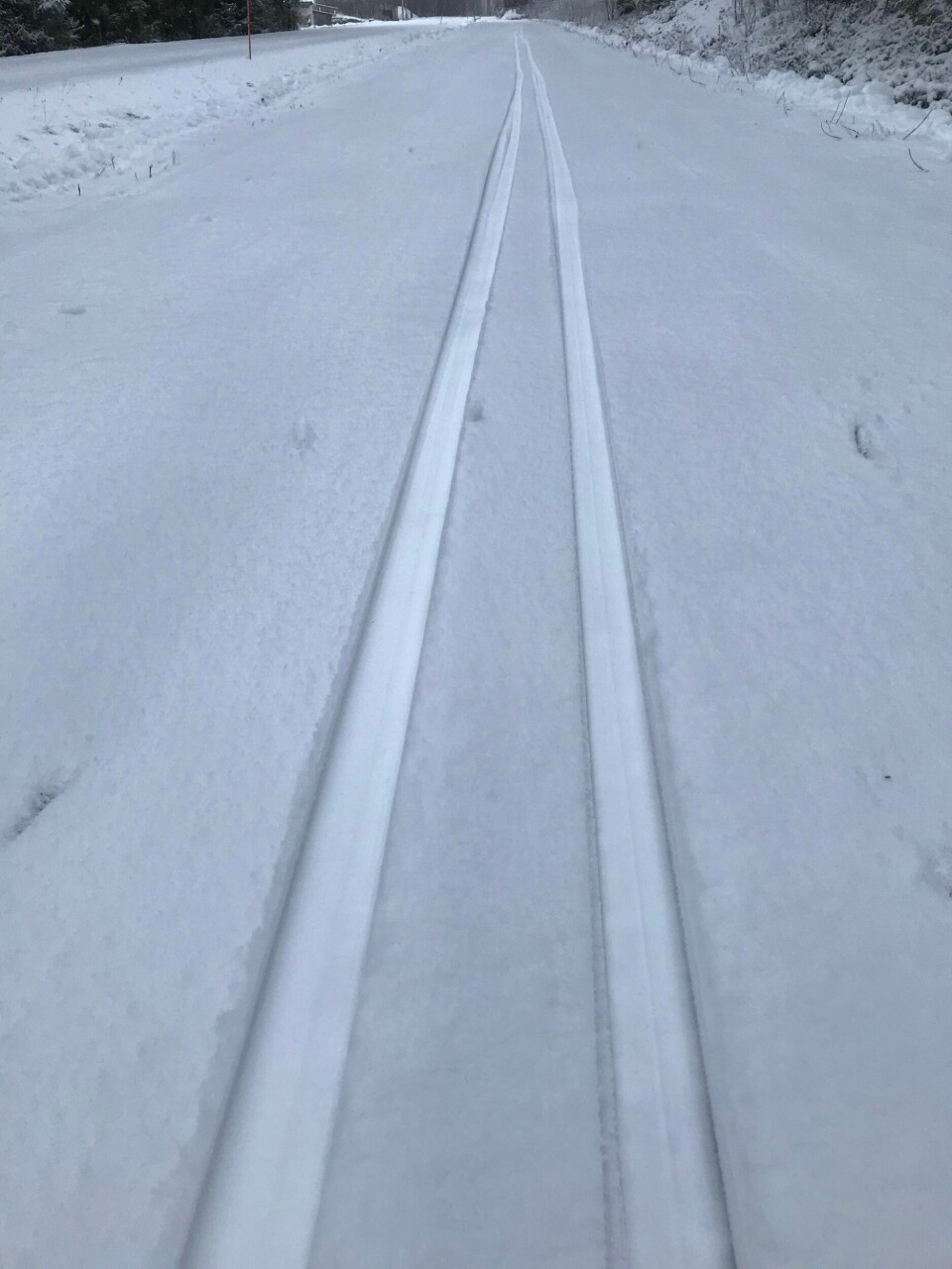 Kom i gang med skisesongen! Skispor.jpg