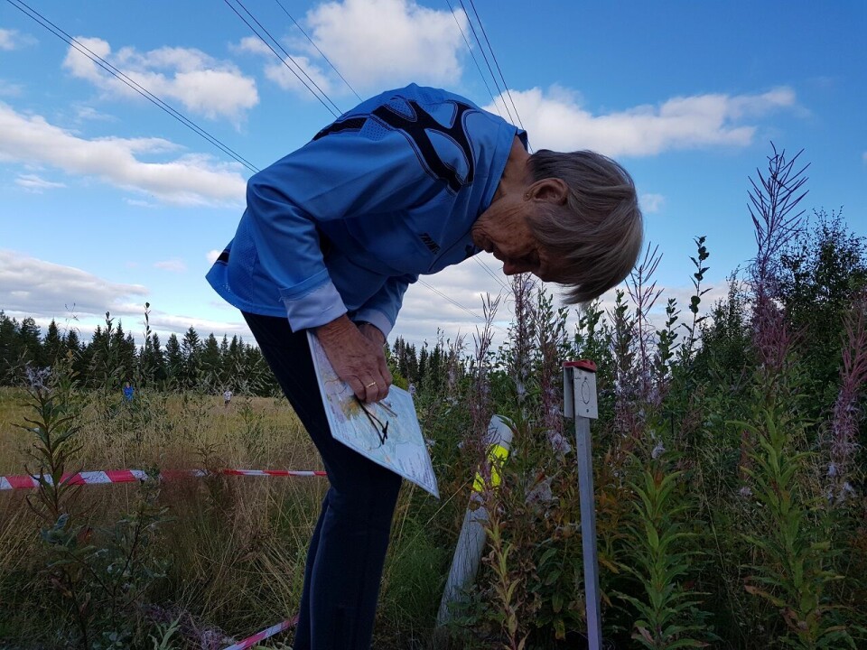Bedrifts-o-løp i lav høstsol på Gåsbu Helga Hansen tar n¢yaktig kompasskurs til f¢rste post.jpg