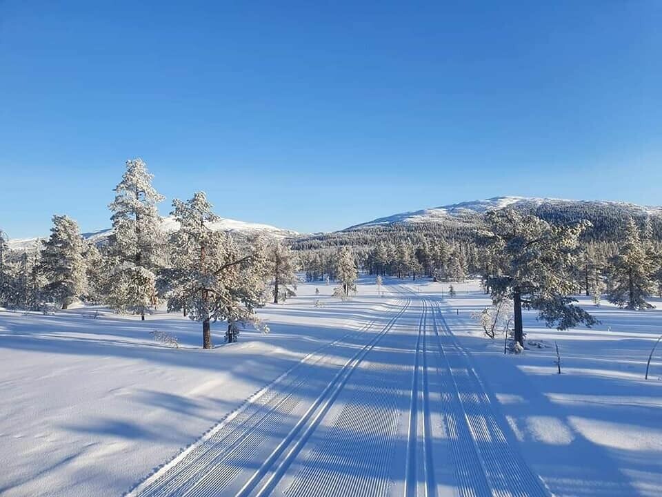 Resultater fra Vikerfjelløpet vikerfjell-loypa.jpg