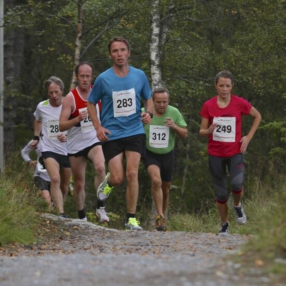 Nedregård og Brande best i Blodslitet Nest_tet