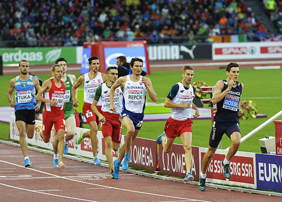 Polsk maktdemonstrasjon da favoritten svikta på 800 m 800-menn-1runde_D4N6177.jpg
