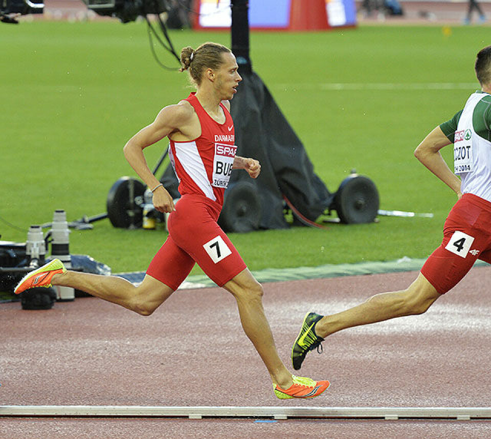 Polsk maktdemonstrasjon da favoritten svikta på 800 m 800-menn-Andreas-Bube_D4N6190.jpg