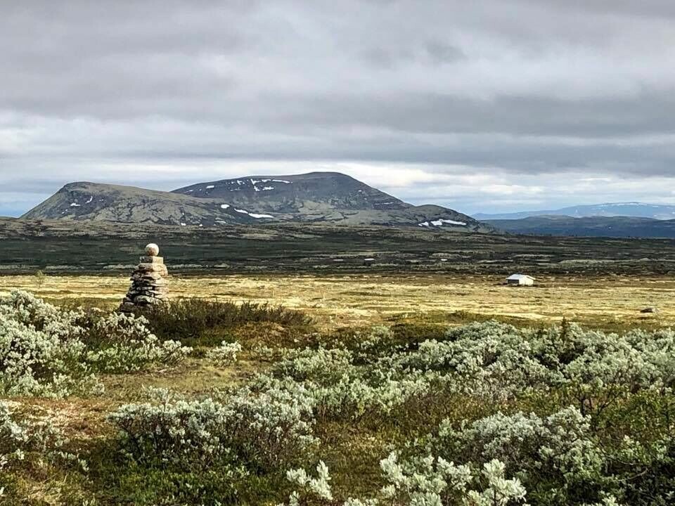 Æreverdige Egebergs Minneløp i år også som stafett Egebergst¢tta.jpg