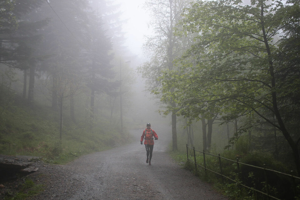 Anita Iversen Lilleskare og Anders Sommer vant Bergen Fjellmaraton 3J6A4064.jpg