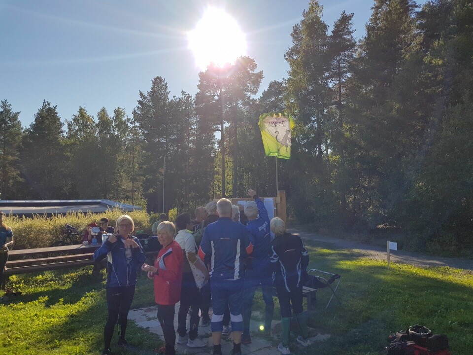 Nesten sommervarme på ukas bedrifts o-løp i Hamar Nesten sommervarme.jpg
