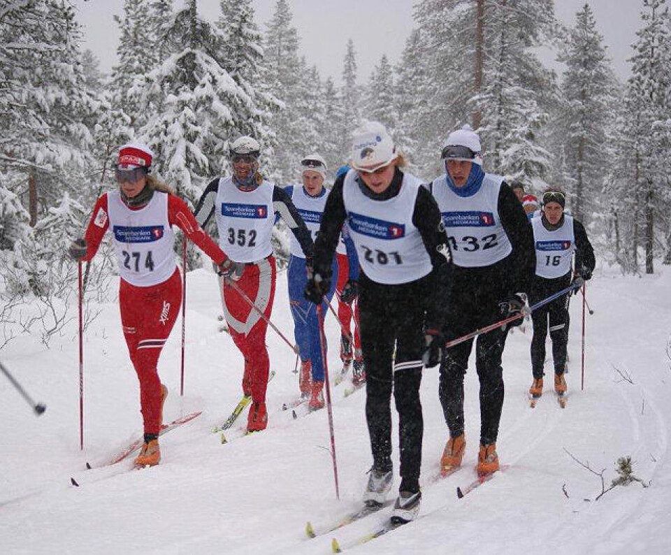 Hilde GP og Knut A Hatlen delte elgen Merete_Weng_Hege_Skari