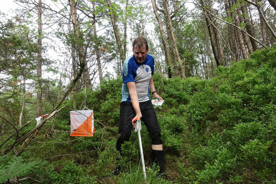 Jon-Kåre Hansen stempler inn på sisteposten i løypen rundt Garpetjern i Munkebotn. (Alle foto: Arne Dag Myking) Jon-Kåre Hansen stempler inn på sisteposten i løypen rundt Garpetjern i Munkebotn. (Alle foto: Arne Dag Myking)