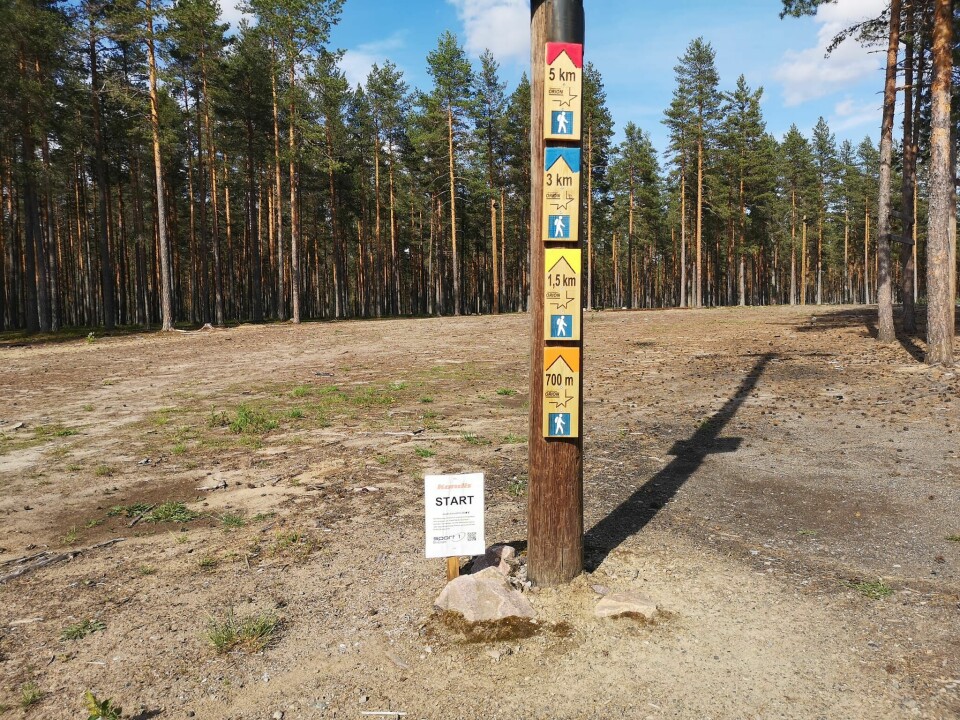 Kondiskuten - Kondistreningas beste påfunn i Elverum Blåkuten-start.jpg