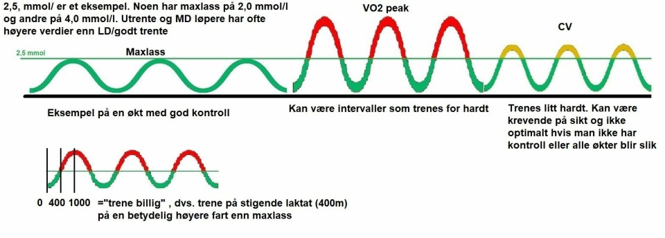 Anaerob terskel – et upresist begrep som bør gå over i historien Figur-4.jpg