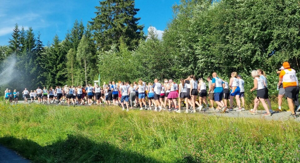 Lang lang rekke av løpere i sommervarmen på Sand. (Foto: Anita Nipen) Lang lang rekke av løpere i sommervarmen på Sand. (Foto: Anita Snipen)
