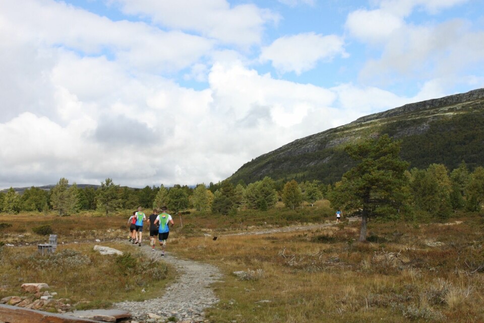 Stian Dahl Sommerseth med rekordraskt fjelleventyr i Furusjøen Rundt Rondane-eventyret.jpg