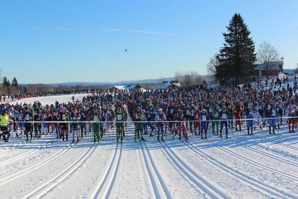 Fra starten for pulje 1 på Tingstadjordet. (Foto fra Birken facebookside) Fra starten for pulje 1 på Tingstadjordet. (Foto fra Birken facebookside)