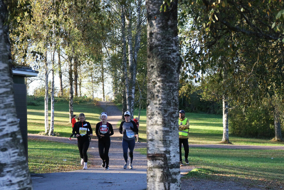 Sommerlig da Nordmarka Skogsmaraton ble høstløp Halv-tre-4S7A5346.jpg