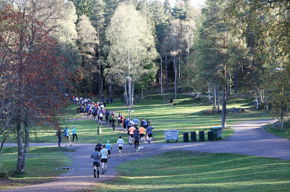 Sommerlig da Nordmarka Skogsmaraton ble høstløp Halv-felt-bakfra-4S7A5345.jpg