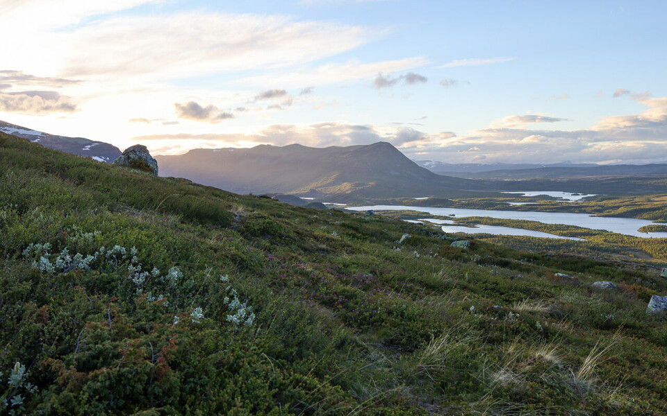 Nøsen Hundreds en heidundrendes suksess også i år Loepet byr paaa vakker natur.jpg