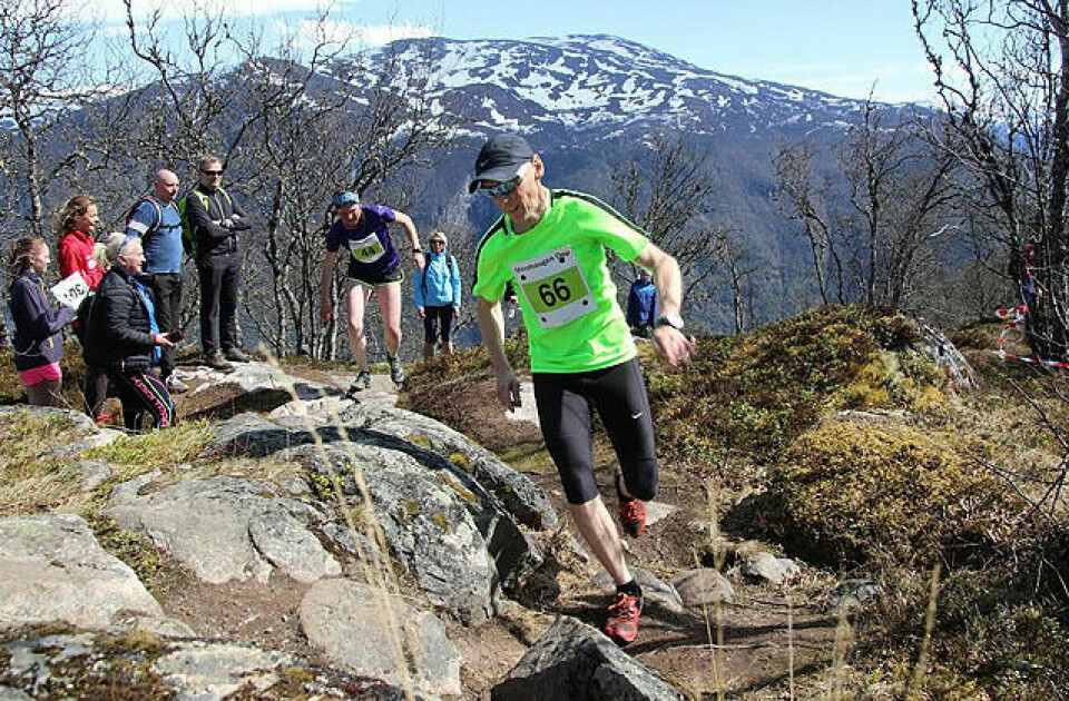 Storehaugen Opp arrangeras for 11. gong 30. mai Det var strålande sol og sommartemperaturar i Lærdal då løpet gjekk av stabelen Kristi himmelfartsdag; ei perfekt råme rundt den tiande utgåva av Storehaugen Opp. Her er det Asbjørn Ekerhovd som er på vei opp mot toppen. Foto: Jan Christian Jerving