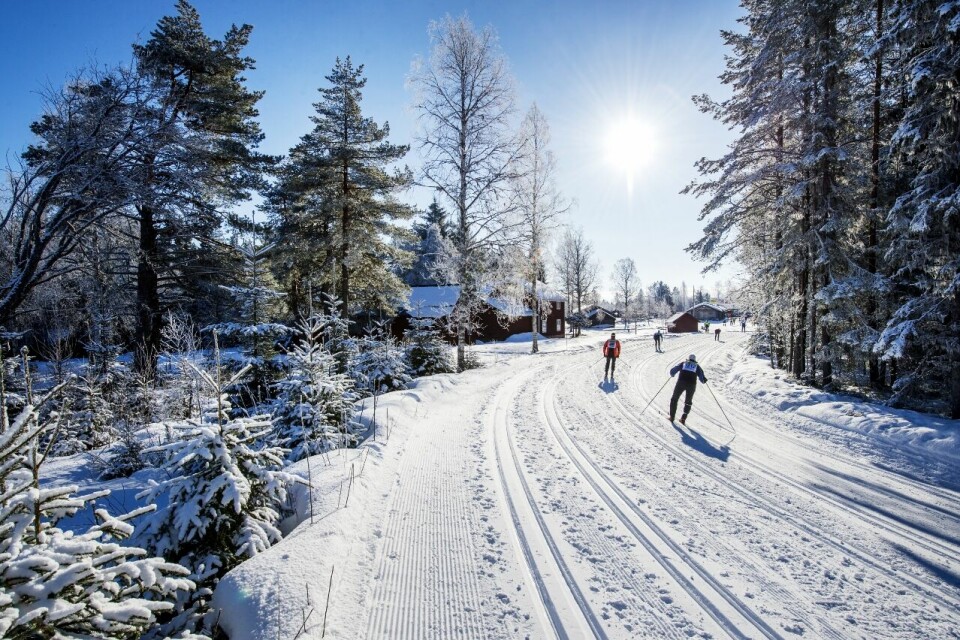 Det blir Vasalopp i disse løypene også i 2021, men bare eliten får gå selve rennet, de andre går Vasaåket (Foto: Vasaloppet/Ulf Palm) Mora 2017-03-03 Stafettvasan och Nattvasan vinterveckan2017Foto: Ulf Palm / TT / kod 71515