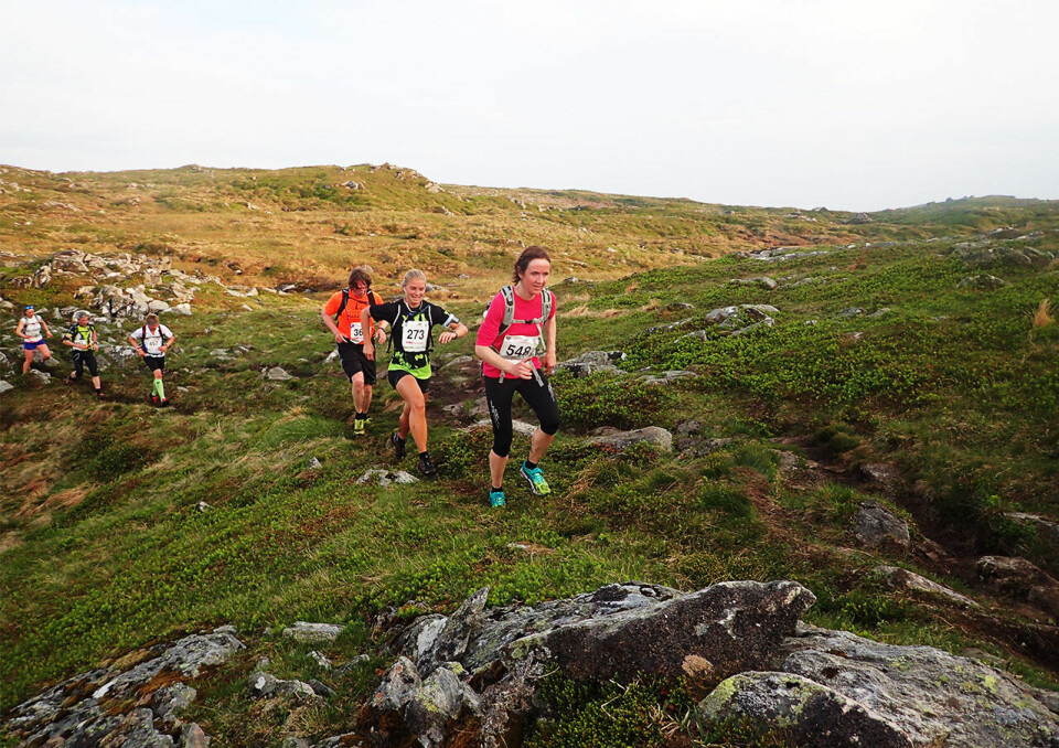 I Bergen Fjellmaraton får en testa seg både oppover, bortover og nedover. (Foto: Marianne Røhme) I Bergen Fjellmaraton får en testa seg både oppover, bortover og nedover. (Foto: Marianne Røhme)