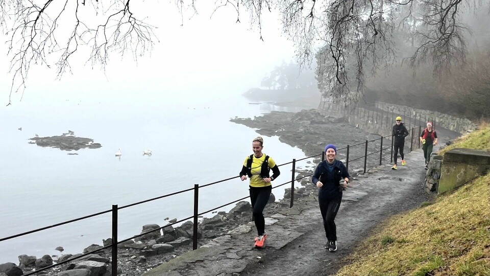 Det var bart og fint underlag i hele løypa, men litt yr i lufta. (Foto: Løblabbet) Det var bart og fint underlag i hele løypa men litt yr i lufta. (Foto: Løblabbet)