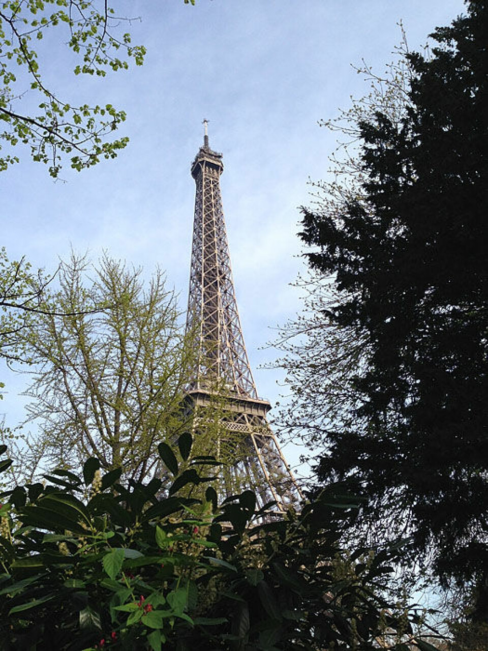 Banoun nr.10 i Ecotrail de Paris Eiffeltaarnet_700.jpg