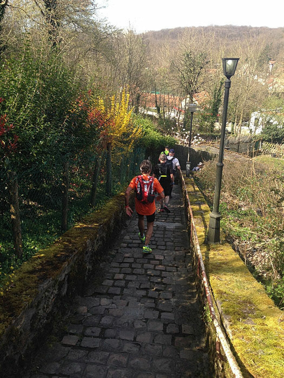 Banoun nr.10 i Ecotrail de Paris Brostein_i_hageomgivelser_700.jpg