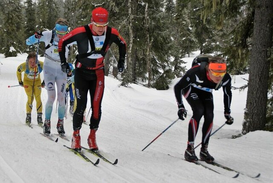 Elin Hagavold og Vetle Thyli best i HalvBirken Vinjar_Skogsholm_Oyvind_Moen_Fjeld.jpg