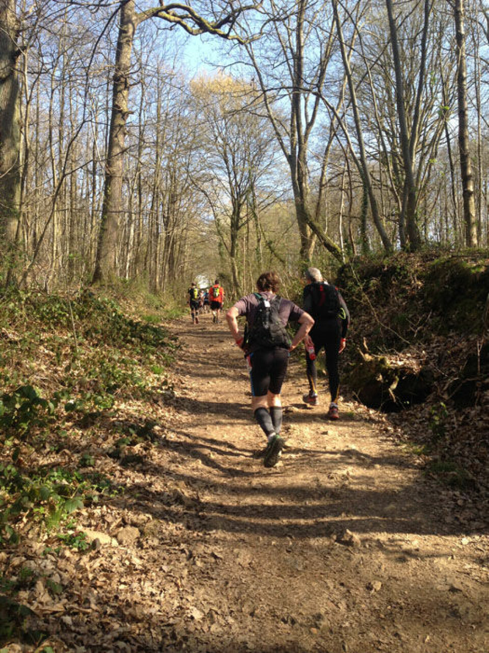 Banoun nr.10 i Ecotrail de Paris Motbakke_640.jpg