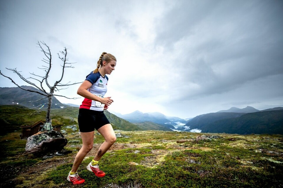 Kårvatn Skyrun i Trollheimen arrangeres 22. august HaakonLundkvistKårvatnSkyrun2019-3682 (1280x853).jpg