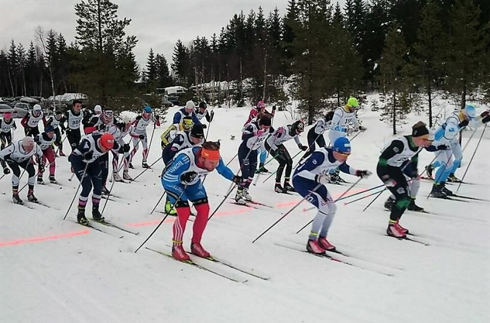 Startskuddet går for den 6. utgaven av Sigurd Fremos Minneløp. (Arrangørfoto) Startskuddet går for den 6. utgaven av Sigurd Fremos Minneløp. (Arrangørfoto)