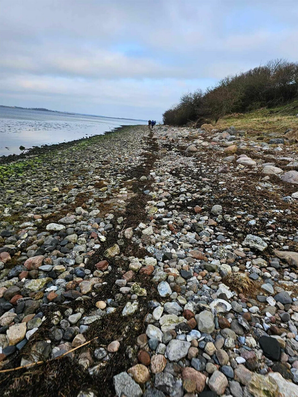 Svein-Erik Bakke på 3. plass i Roskilde Fjord Rundt 50 miles steinete-strand-og-loype.jpg