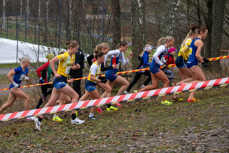 Finsk seier i kvinnenes seniorklasse under nordisk mesterskap i terrengløp stort-felt-etter-start.jpg