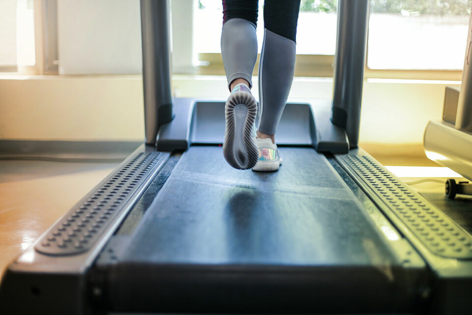 Det kan være vanskelig å bestemme seg for hvilken tredemølle man skal kjøpe. Her er noen ting du kan tenke på når du skal ut på handling. (Foto: Andrea Piacquadio / Pexels) Det kan være vanskelig å bestemme seg for hvilken tredemølle man skal kjøpe. Her er noen ting du kan tenke på når du skal ut på handling. (Foto: Andrea Piacquadio / Pexels)