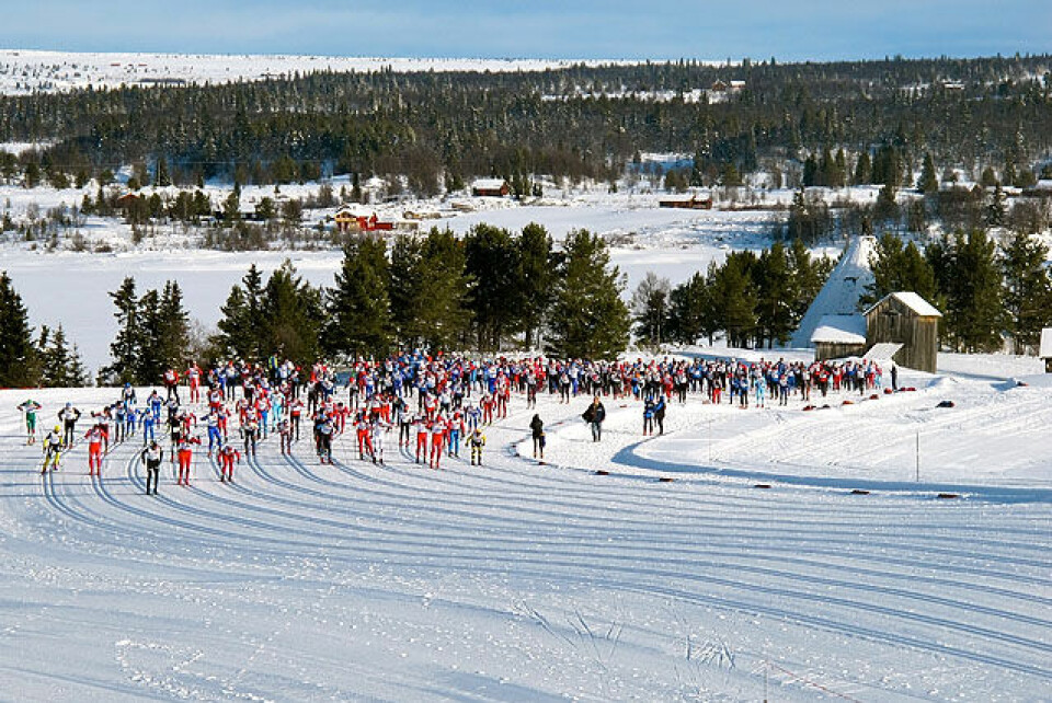 Jevnt i Hallingrennet