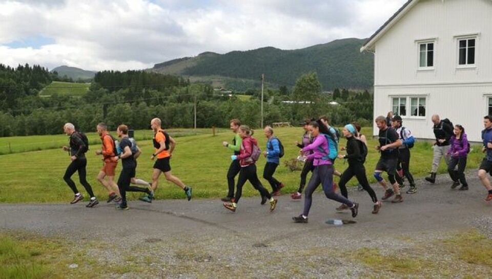 Løype- og deltakerrekorder for Ørsta Fjellmaraton 02_Startmaraton_tidligstart Halv Foto Arve Hauglan.jpg