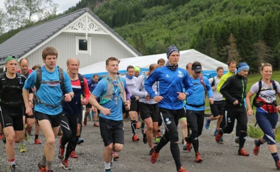 Løype- og deltakerrekorder for Ørsta Fjellmaraton 04_Halvmaraton Foto Arve Hauglan.jpg