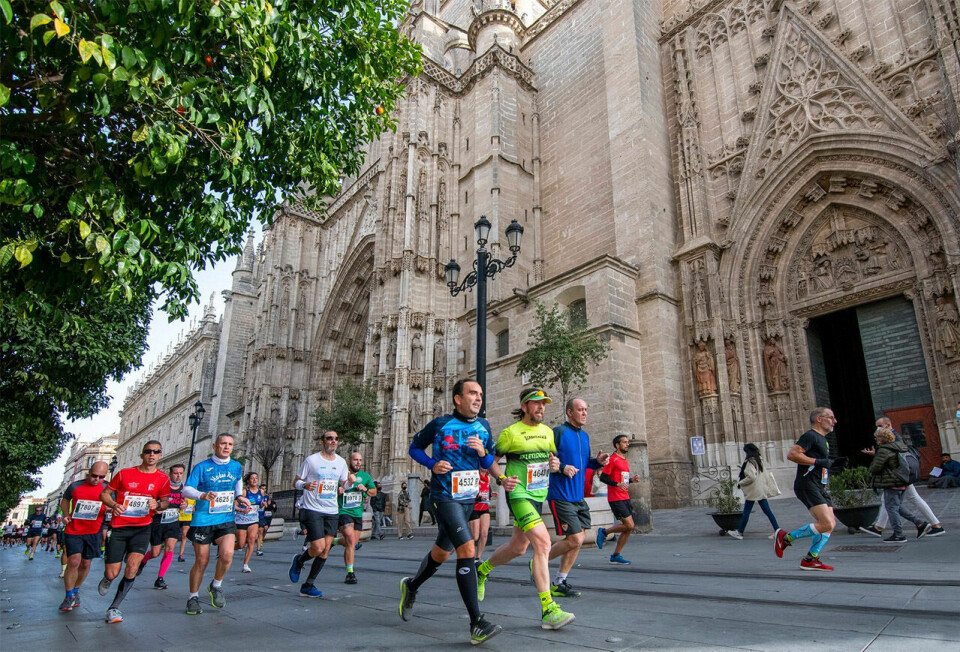 Sevilla halvmaraton har ei flat og lettløpt løype som går forbi mange staselige byggverk. (Foto: arrangøren) Sevilla halvmaraton har ei flat og lettløpt løype som går forbi mange staselige byggverk. (Foto: arrangøren)